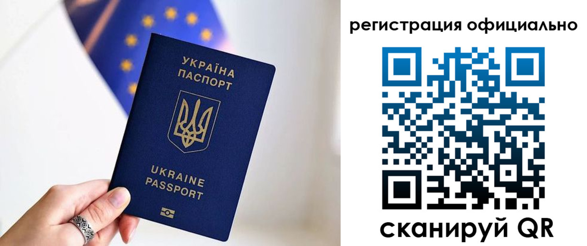 прописка для школы в Мурманской области