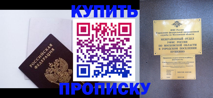 найти адрес прописки в Мурманской области